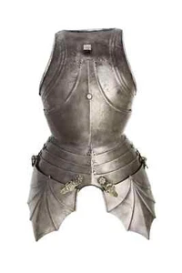 Gothic Rüstung Mittelalter Ganzkörperrüstung tragbar Ritter Kostüm Replik - Bild 1 von 4