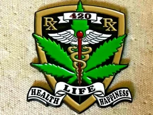 10 (INGROSSO) 420 RX DISTINTIVO STILE GRATEFUL DEAD HIPPIE POT MARIJUANA 1 3/4 in PIN - Foto 1 di 3