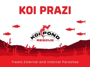 KOI PRAZI Fluke Destroyer for Fish Ponds - 25 Grams - Picture 1 of 1