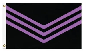 Bandera de Liberación Queer Lavanda/Lila y Negra, Interseccional LGBTQIA+ Igualdad - Imagen 1 de 6
