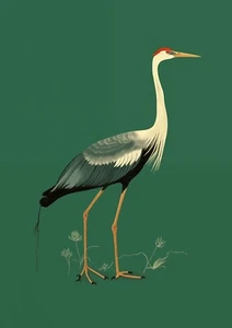 Beautiful Crane Bird Poster Wall Art Print Picture A3 A4 A5 - Picture 1 of 7