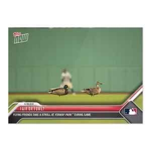 Fair or fowl? Fenway Park Red Sox - 2023 MLB TOPPS NOW Card 144 - Picture 1 of 2
