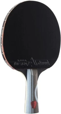 Paleta de Ping Pong Infinity Overdrive Rendimiento Profesional con Carbono Foto 1 de 4