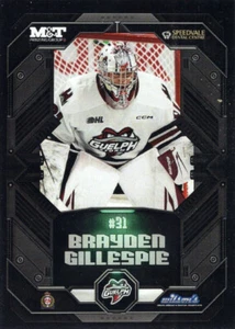 2023/24 Guelph Storm - BRAYDEN GILLESPIE (g) - Bild 1 von 2