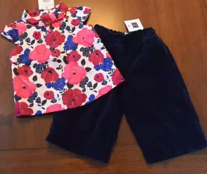 NWT Janie and Jack 12-18 mo 2-pc set navy blue velvet pants pink floral blouse - Picture 1 of 7