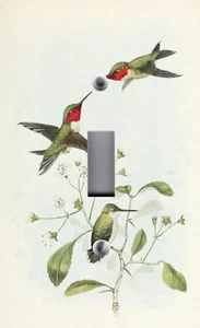 HUMMINGBIRD GREEN LEAS VINE Coperchi Uscita Da Parete Piastra Interruttore 2 Luci - Foto 1 di 26