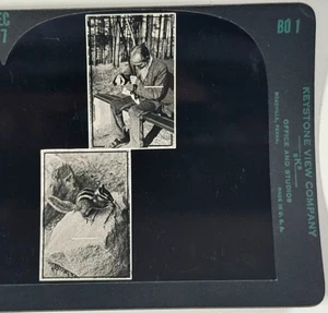 Keystone Auge Komfort Tiefenwahrnehmung visuelles Training Wildtiere Stereoview Karte - Bild 1 von 4