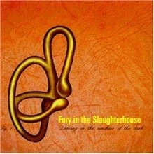 Dancing in the Sunshine of the Dark von Fury in the Slaugh... | CD | Zustand gut - Bild 1 von 2