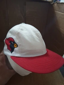 Vintage Phoenix Cardinals RARE Snapback Hat DOES NOT STAND UP - Bild 1 von 9