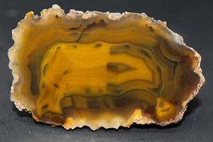 Condor agate collector specimen - Picture 1 of 4