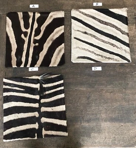 16"x16" Genuine Zebra Skin Pillow Cover with Leather Backing |Throw Pillow B#9 - Picture 1 of 7