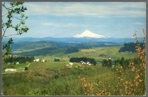 Union Pacific Railroad Pictorial Postcard Mt. Hood Oregon Photo by Ray Atkeson - Picture 1 of 2