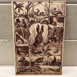 John Derian Postcard 1999 Joys And Sorrow In The Life Of A Hare, Rabbit Art  - Picture 1 of 3