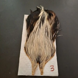 Silver Badger Dry Fly Hackle Neck Cape Dry Fly Tying Feathers #3 Auction - Picture 1 of 13