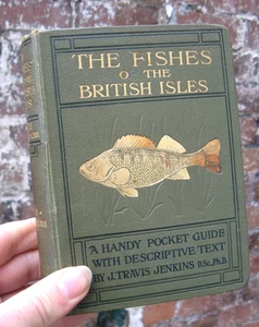 1925 The Fishes of the British Isles- Travis Jenkins 1st Edition - Picture 1 of 23