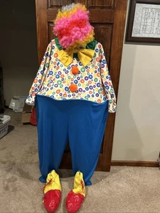 Ntrigue Clown Costume With Hoop Waist Wig Shoes Halloween Adult Unisex - Picture 1 of 14