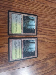 Mtg Tainted Wood *Torment* - Bild 1 von 2