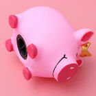 Decorative Coin Piggy Bank Toy Save Money Jar Piggybank Large