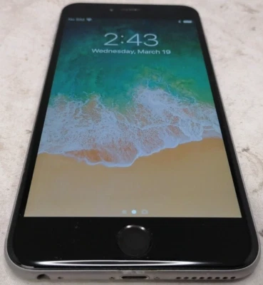Apple iPhone 6 Plus - 64 GB - Gray (Carrier N/A) No SIM Card - Image 1 of 4