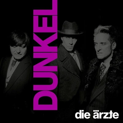 Die Ärzte: DUNKEL (Limitiertes Doppelvinyl im Schuber mit Girlande) (Halbtransp - Bild 1 von 2