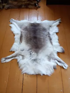 Norwegian Reindeer Skin Hide Fur Pelt Taxidermy Home Decor Area Rug Fireplace - Picture 1 of 17