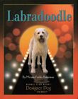 Labradoodle (Designer Dog)-Miriam/ Bloom Fields-Babineau