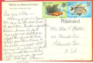 Belize 2 diff Fish on Post Card to USA SAN PEDRO AMBERGRIS Cancel - Picture 1 of 2