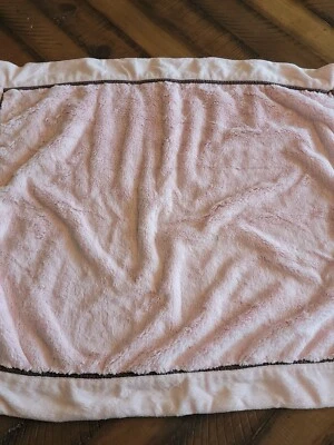 Детское одеяло Restoration Hardware Baby & Child бледно-розовое очень мягкое!!! 23 x 28 дюймов - Изображение 1 из 4