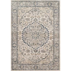 LOLOI II Teagan Natural/Lt. Grey 2 ft. 8 in. x 4 ft. Traditional Area Rug - Picture 1 of 6
