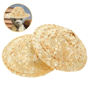 2 Pcs Knitted Straw Hat Model Mini Adornment Tiny Sombrero Small Hats - Imagen 1 de 12