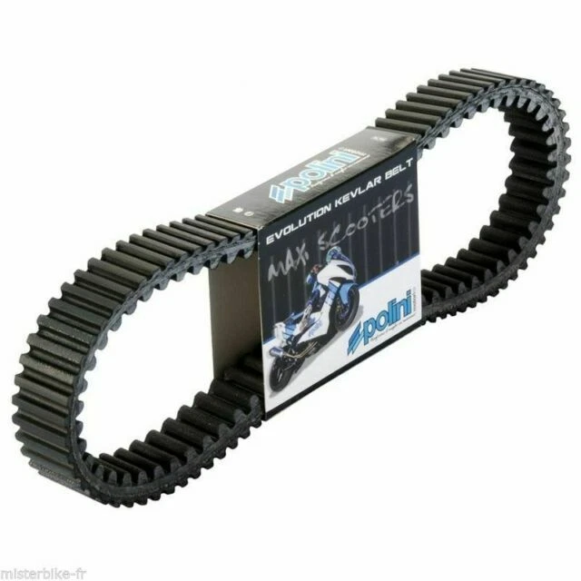 Polini 248.103 Courroie de Variateur Compatible pour Yamaha T-Max 500