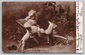1907 Jack Russell Terrier "Love in a Barrow" Young Children Wheelbarrow Postcard - Picture 1 of 3
