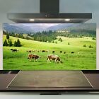 Küchenrückwand Spritzschutz Wandschutz auf ESG Deko Glas 100x50 Feld Kühe Natur