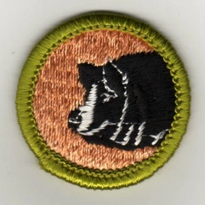 Hog Production Merit Badge Type G, Cloth Back  (1961- 71), Mint! - Picture 1 of 1