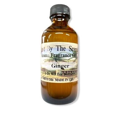 Ginger 2 OZ Fragancia De Aceite Y Difusor Envío Gratis VENDEDOR DE EE. UU. • 6.78€