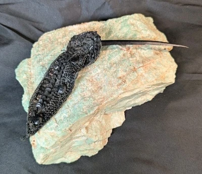 Fantasia feminina vintage art déco lantejoulas pretas pena cabelo palito escolha  - Imagem 1 de 4