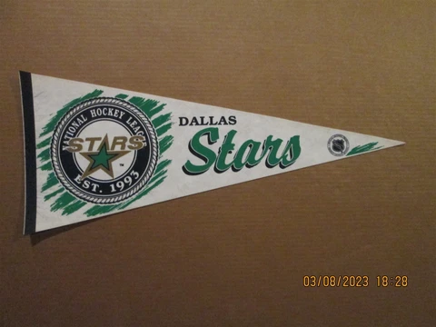 NHL Dallas Stars Vintage EST. 1993 Team Logo Hockey Pennant Cover