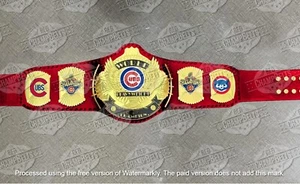 Chicago Cubs World Series Champions Championship Belt Adult Size 4mm Brass - Picture 1 of 1