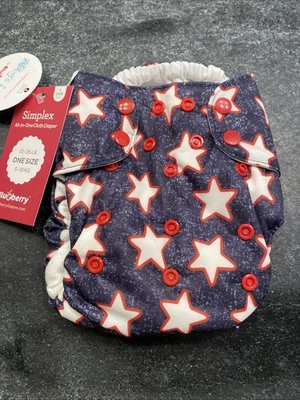 Blueberry Simplex todo en uno Foto 1 de 2