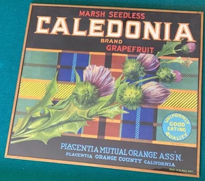 VINTAGE~CALEDONIA~POMPELMO SEMI~LITOGRAFIA ANNI '30~BORDO RAME~APPENDINO~BELLO - Foto 1 di 4