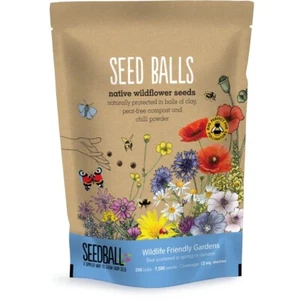 250 Bee-Friendly Wildflower Seed Balls for Easy Growing in Garden Beds or Pots. - Picture 1 of 26
