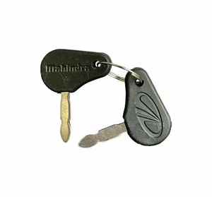 GENUINE IGNITION KEY WITH OEM LOGO FOR MAHINDRA TRACTOR 005555207R1 - Picture 1 of 2