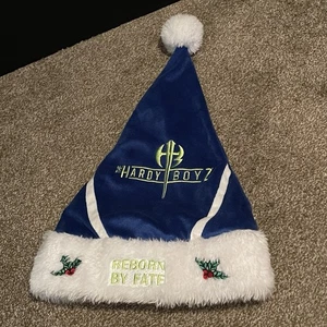 Hardy Boyz Christmas Santa Hat WWE Reborn By Fate - Picture 1 of 11
