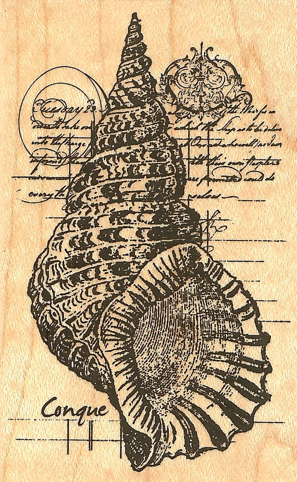 Sello de goma montado en madera Sea Shell Collage Impression Obsession D13024 NUEVO Foto 1 de 1