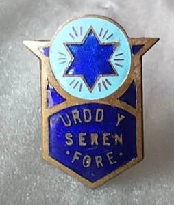 Urdd Y Seren Fore Movement of the Morning Star Member’s Enamel Badge 1930’s (2) - Imagen 1 de 4