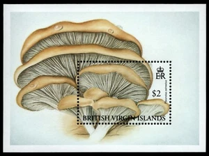 Isole Vergini 1992 - Michel n. blocco 73 ** - MNH - funghi / funghi - Foto 1 di 1
