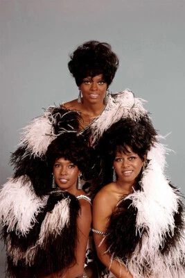 Diana Ross Artista Cantante Vintage Impresión Pintura Pared Decoración del Hogar - PÓSTER 20x30 Foto 1 de 3