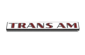1973 1975 1976 1977 1978 Pontiac Firebird Trans Am nombre de pájaro calcomanía gráficos - Imagen 1 de 16