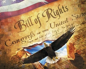 Land of Liberty Bill of Rights 35" Panel 100% Cotton Fabric by The Panel - Picture 1 of 1