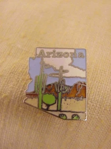 Arizona Saguaro Cactus Travel Souvenir Lapel Hat Pin AZ Desert Scene - Picture 1 of 2